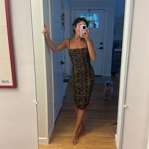 Aritzia Babaton dress